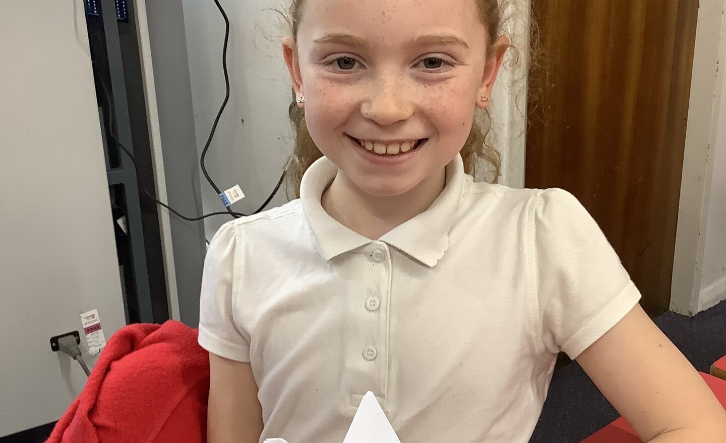 Image of Origami Cranes